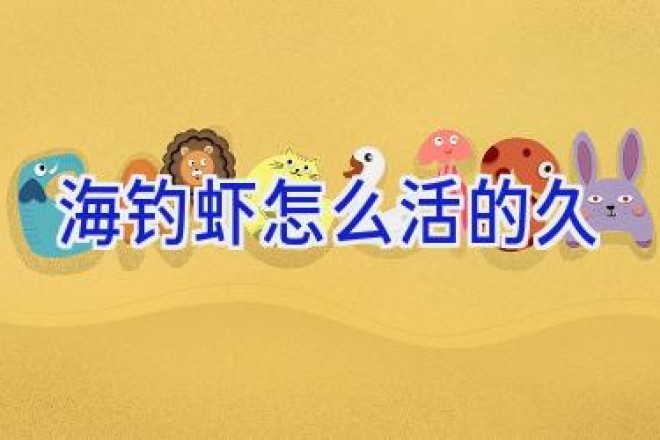 海钓虾怎么活的久