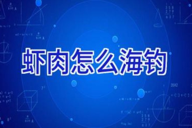 虾肉怎么海钓