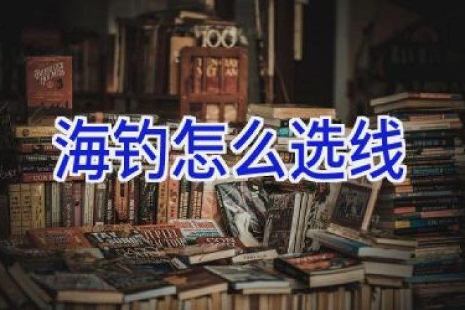 海钓怎么选线