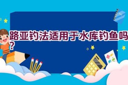 路亚钓法适用于水库钓鱼吗?