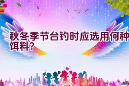 秋冬季节台钓时应选用何种饵料?