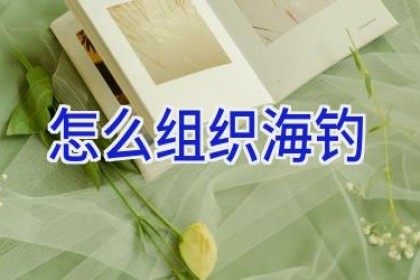 怎么组织海钓
