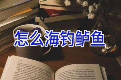 怎么海钓鲈鱼