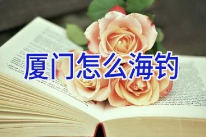 厦门怎么海钓