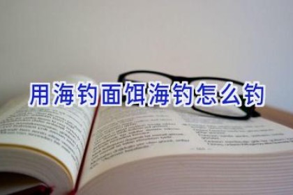 用海钓面饵海钓怎么钓