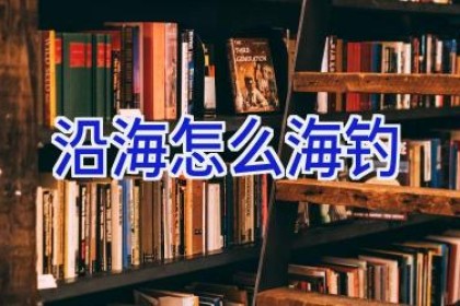 沿海怎么海钓