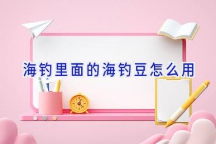 海钓里面的海钓豆怎么用