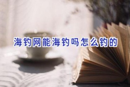海钓网能海钓吗怎么钓的