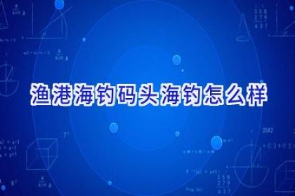 渔港海钓码头海钓怎么样