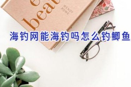 海钓网能海钓吗怎么钓鲫鱼
