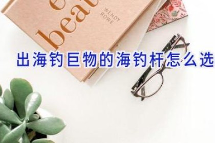 出海钓巨物的海钓杆怎么选