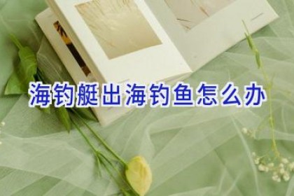 海钓艇出海钓鱼怎么办