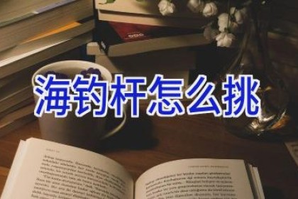 海钓杆怎么挑
