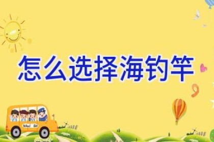 怎么选择海钓竿