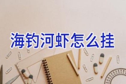 海钓河虾怎么挂