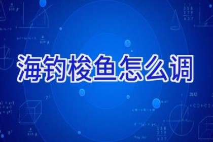 海钓梭鱼怎么调