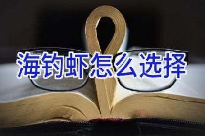 海钓虾怎么选择