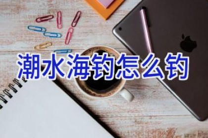 潮水海钓怎么钓