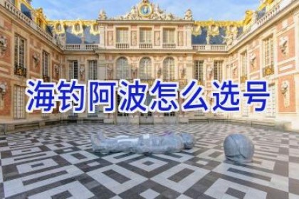 海钓阿波怎么选号