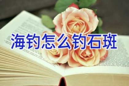 海钓怎么钓石斑