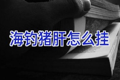 海钓猪肝怎么挂