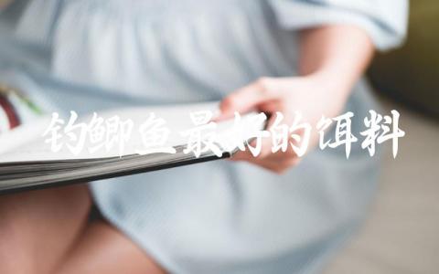 钓鲫鱼最好的饵料缩略图
