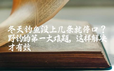 冬天钓鱼没上几条就停口?野钓的第一大难题,这样解决才有效缩略图 冬天钓鱼没上几条就停口?野钓的第一大难题,这样解决才有效缩略图
