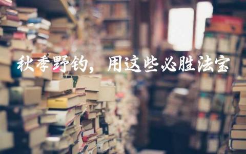 秋季野钓,用这些必胜法宝缩略图 秋季野钓,用这些必胜法宝缩略图