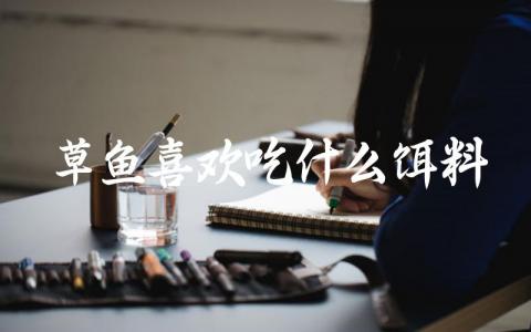 草鱼喜欢吃什么饵料缩略图 草鱼喜欢吃什么饵料缩略图