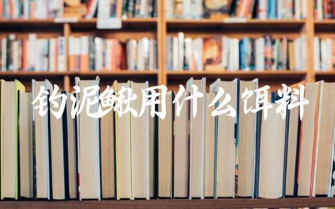 钓泥鳅用什么饵料缩略图 钓泥鳅用什么饵料缩略图