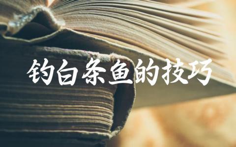 钓白条鱼的技巧缩略图 钓白条鱼的技巧缩略图