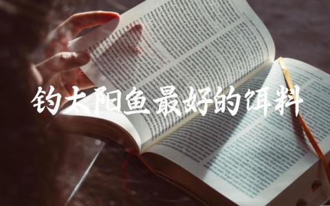 钓太阳鱼最好的饵料缩略图 钓太阳鱼最好的饵料缩略图