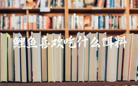 鲤鱼喜欢吃什么饵料缩略图