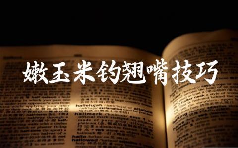 嫩玉米钓翘嘴技巧缩略图 嫩玉米钓翘嘴技巧缩略图