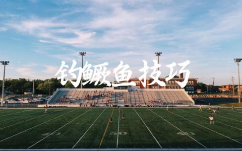 钓鳜鱼技巧缩略图