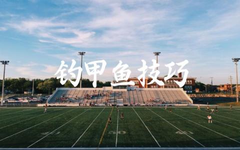 钓甲鱼技巧缩略图 钓甲鱼技巧缩略图