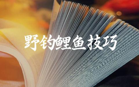 野钓鲤鱼技巧缩略图