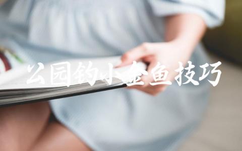 公园钓小金鱼技巧缩略图