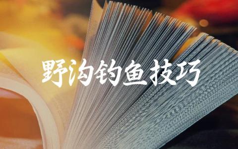 野沟钓鱼技巧缩略图 野沟钓鱼技巧缩略图
