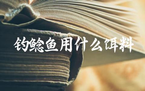 钓鲶鱼用什么饵料缩略图 钓鲶鱼用什么饵料缩略图