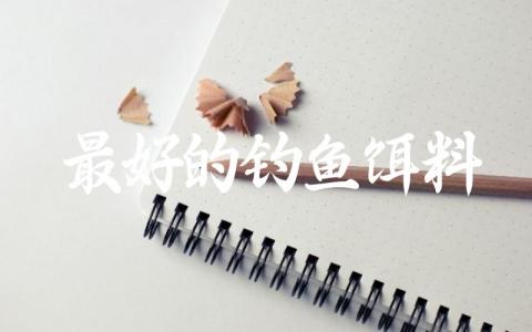 最好的钓鱼饵料缩略图