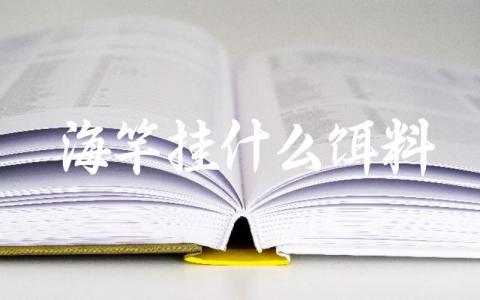 海竿挂什么饵料缩略图 海竿挂什么饵料缩略图