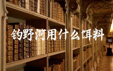 钓野河用什么饵料缩略图