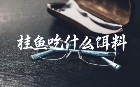 桂鱼吃什么饵料缩略图 桂鱼吃什么饵料缩略图