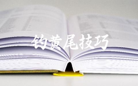 钓黄尾技巧缩略图 钓黄尾技巧缩略图