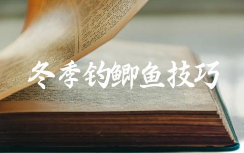 冬季钓鲫鱼技巧缩略图 冬季钓鲫鱼技巧缩略图