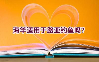 海竿适用于路亚钓鱼吗？插图