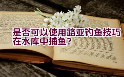 是否可以使用路亚钓鱼技巧在水库中捕鱼？插图