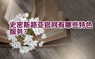 史密斯路亚官网有哪些特色服务？插图