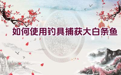 如何使用钓具捕获大白条鱼插图